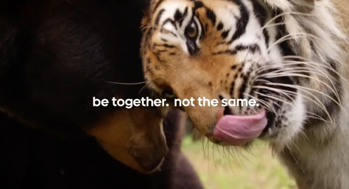 Google introduces new set of "Be together, not the same" ads featuring furry "Android BFFs"