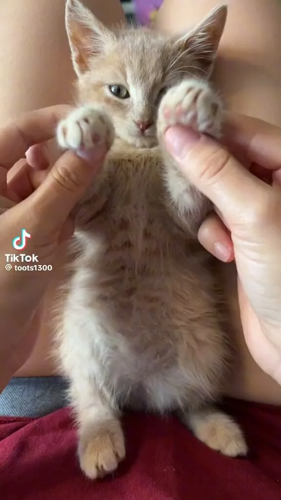 she fell asleep doing the Apple dance :(