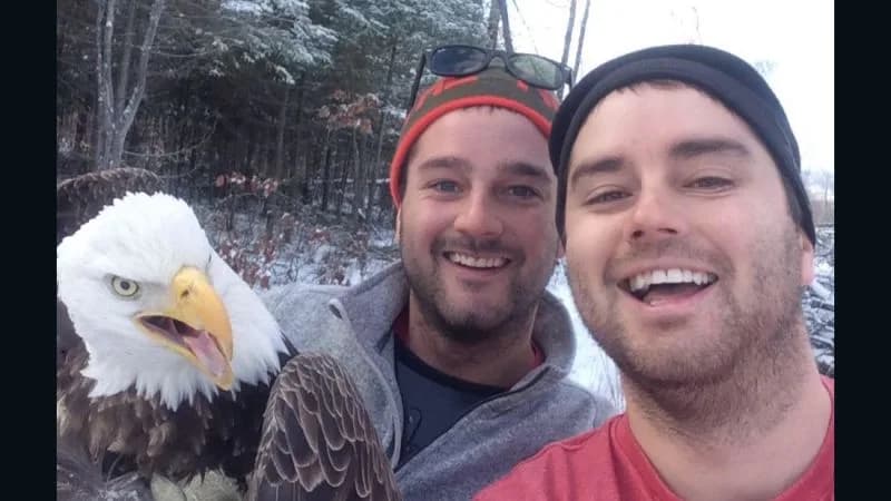 Canadian brothers rescue bald eagle, win the Internet | CNN