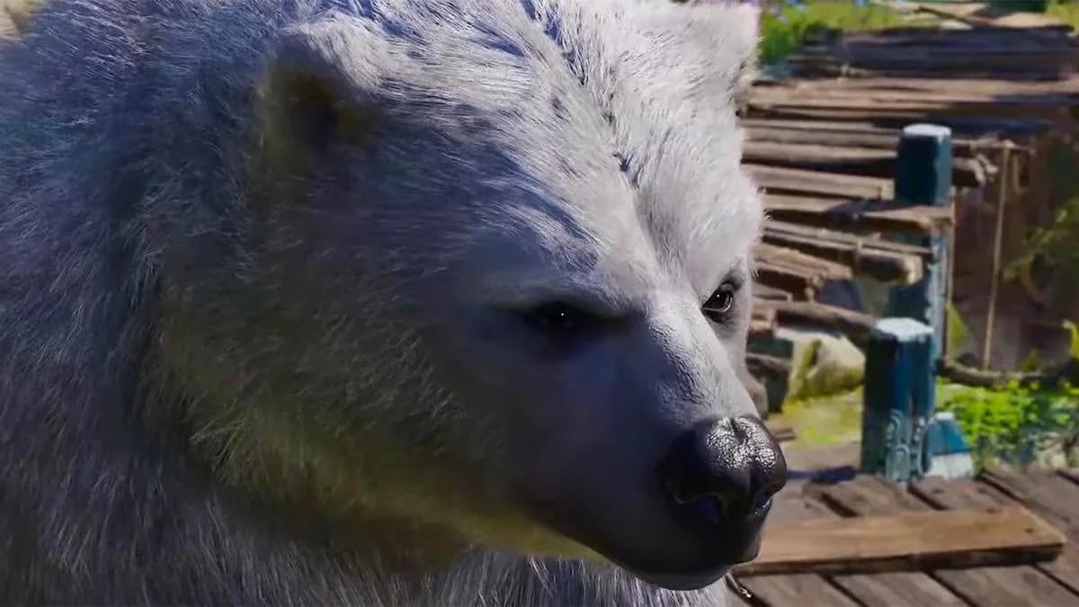Baldur's Gate 3 Climbs Steam Best Sellers Chart After Showing Off Bear Sex Scene
