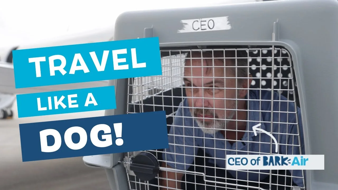 We Made Our CEO Travel in a Dog Crate