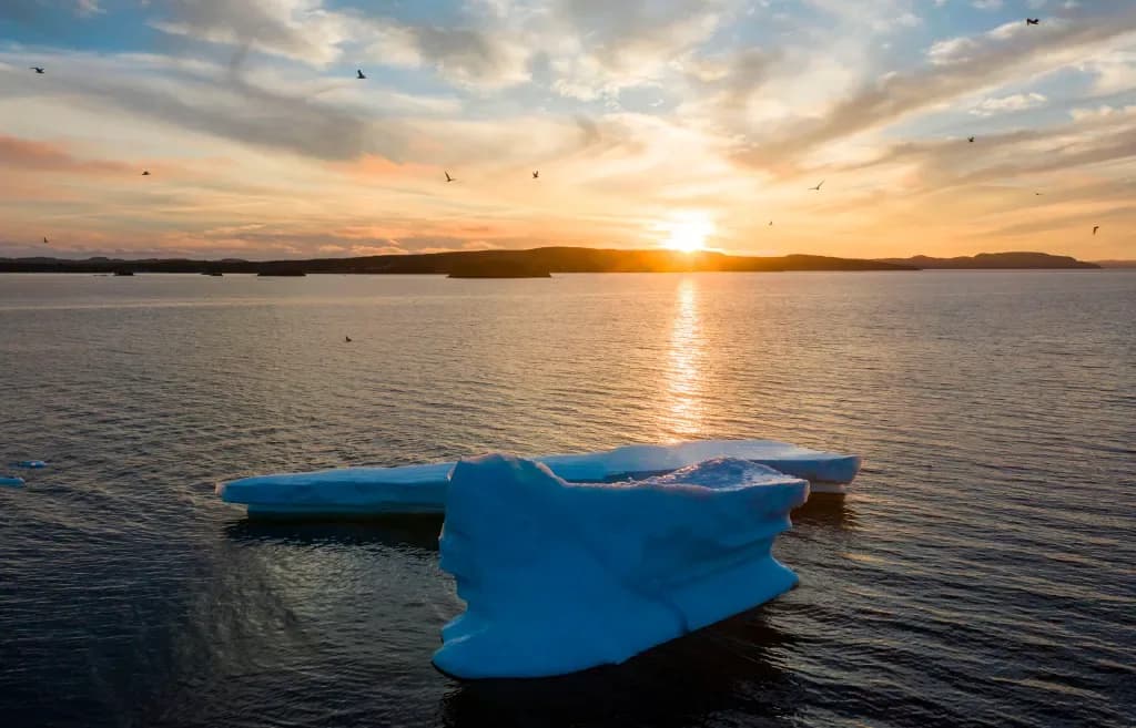Newfoundland Limited Series Set At Netflix From Jesse McKeown