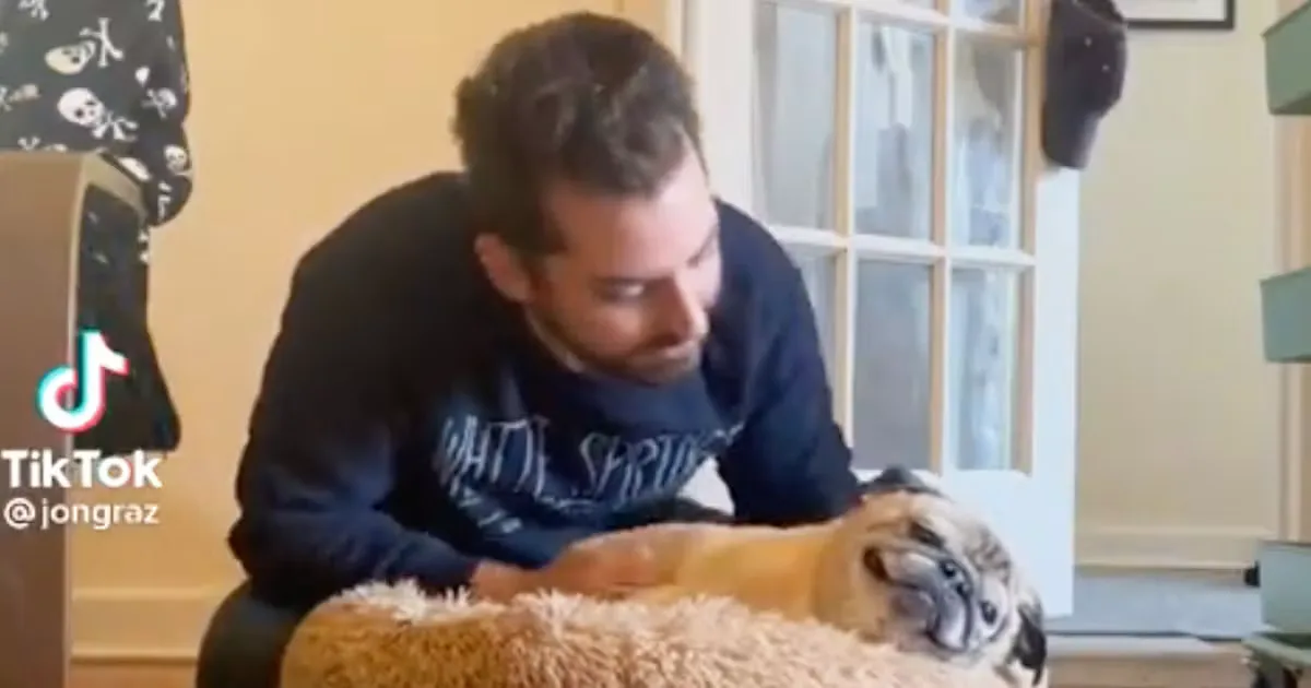 Bones Or No Bones: Noodle The Pug Has United The Internet