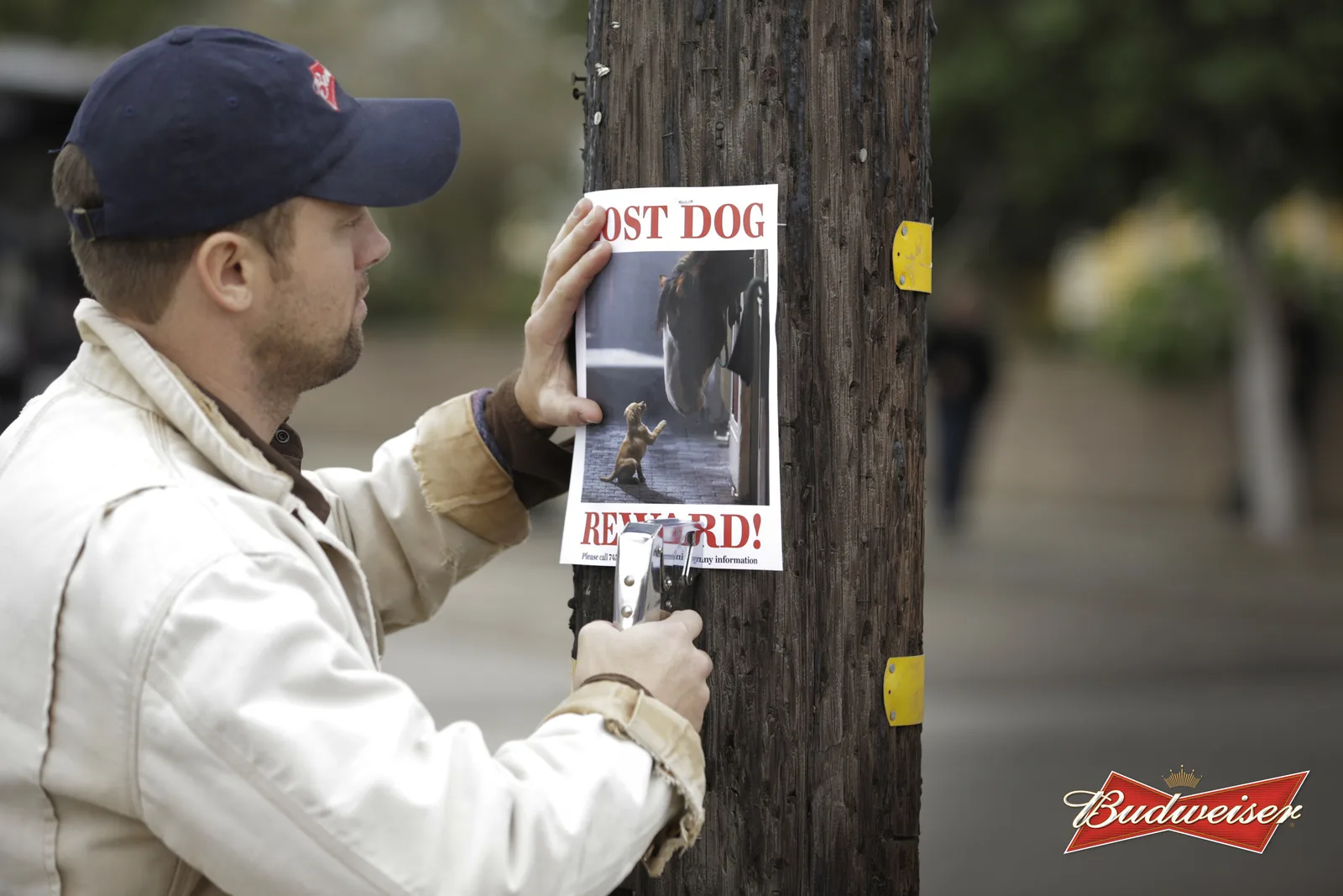 A trainer put up a Lost Dog flyer in the official campaign still.