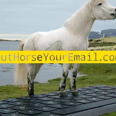 Business Iceland | OutHorse Your Email