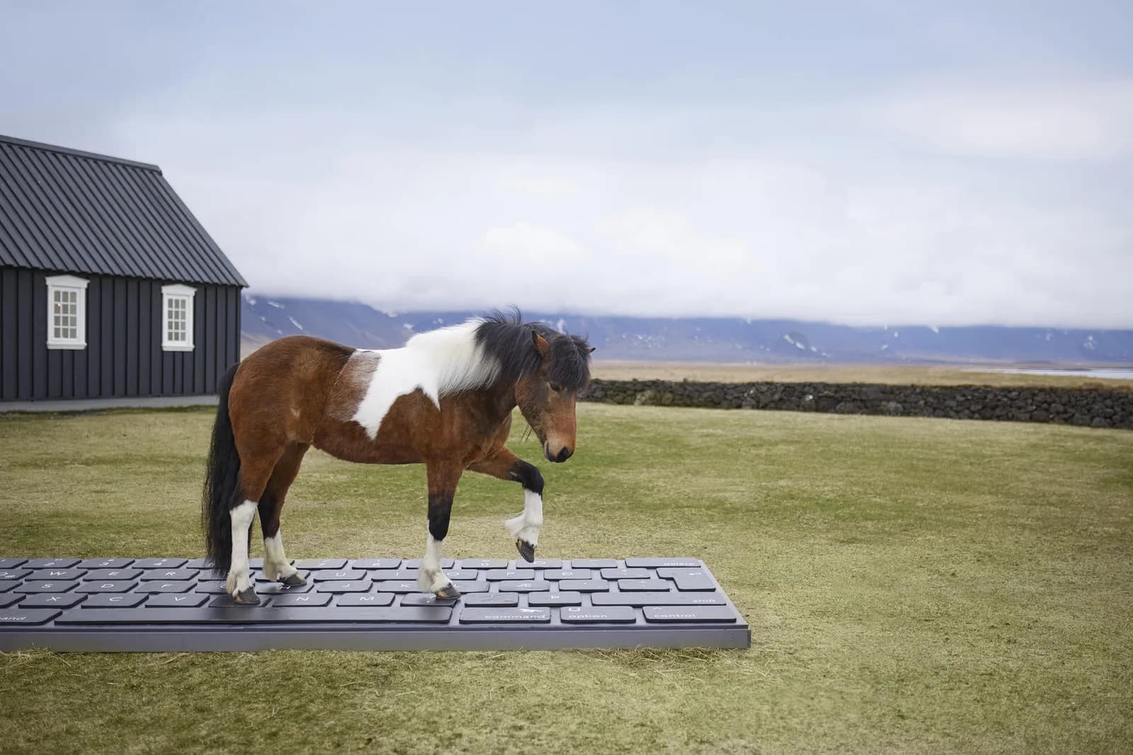 Iceland is inviting travellers to OutHorse their emails
