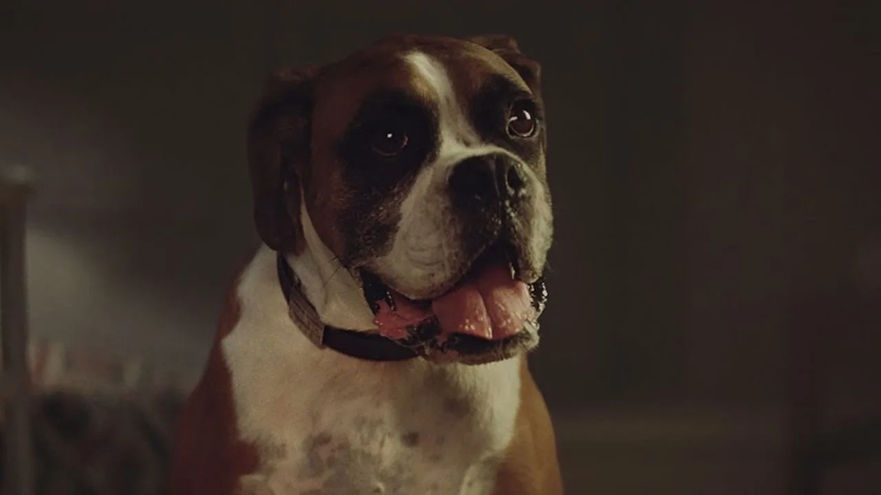John Lewis innovate with on demand advertising