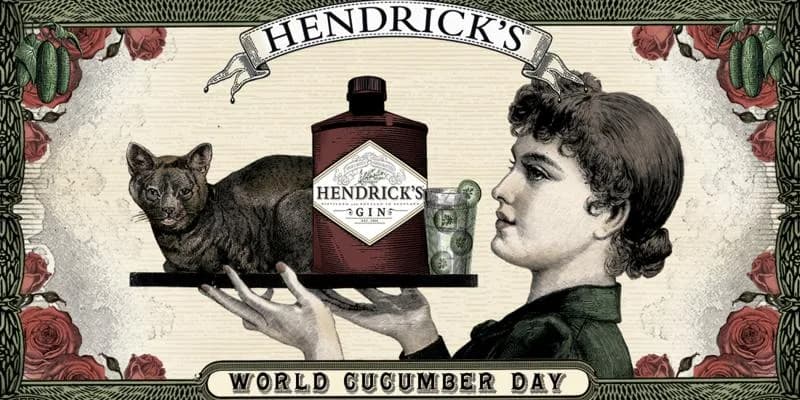 CATS VERSUS CUCUMBERS