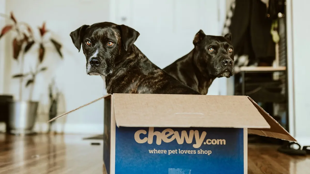 Dogs in a box