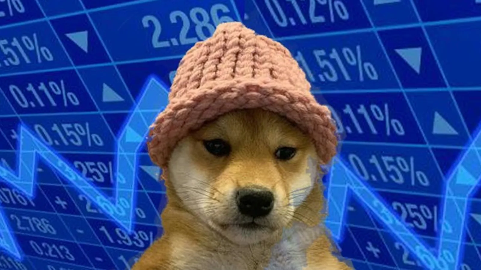 Dogwifhat (Meme Coin) | Know Your Meme