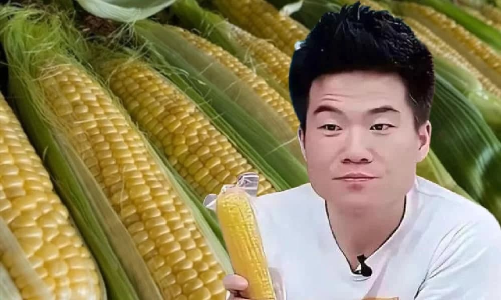 The Price is Not Right: Corn Controversy Takes over Chinese Social Media