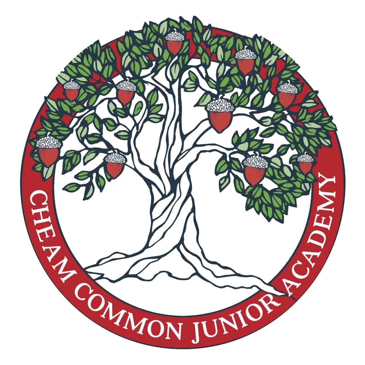 CCJ Newsletter 3.4.2020
