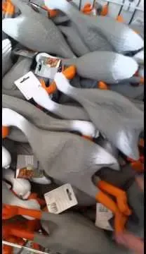 Duck Army?