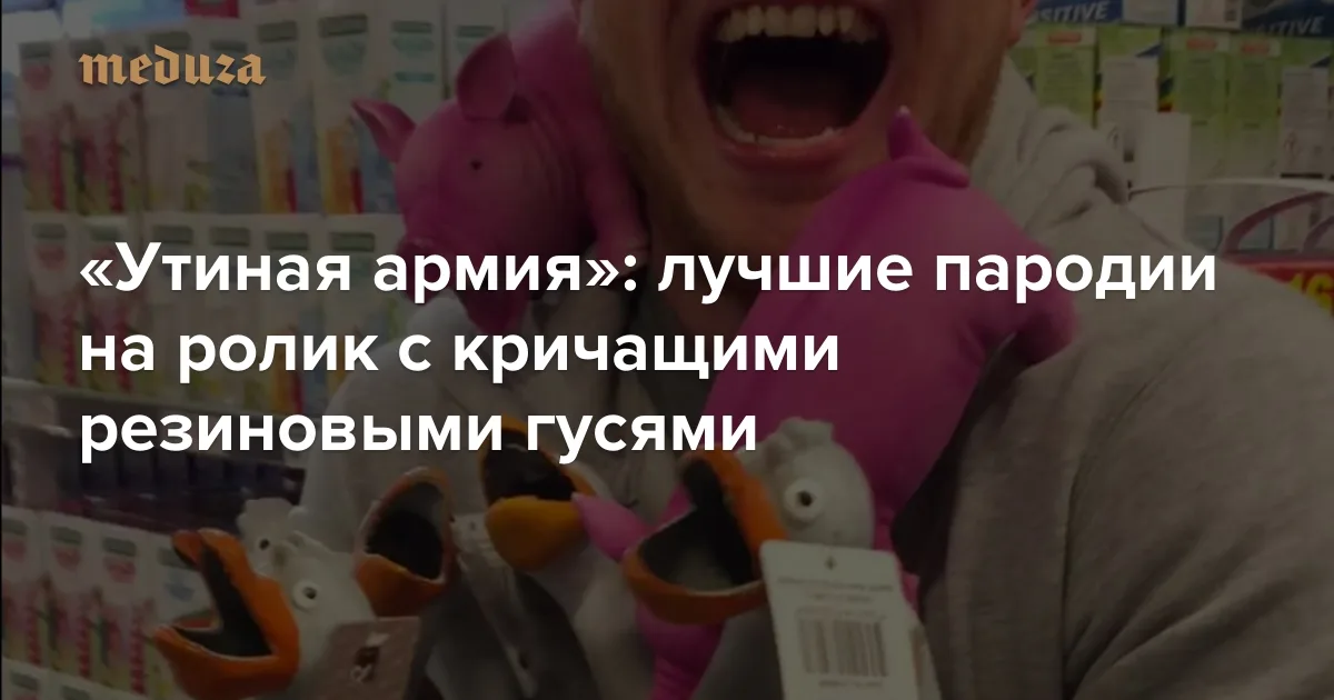 «Утиная армия»: лучшие пародии на ролик с кричащими резиновыми гусями — Meduza
