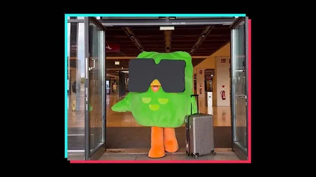 Duolingo Deutschland wird auf Tiktok zur viralen Sensation | Startseite | Special | Retail Media | W&V