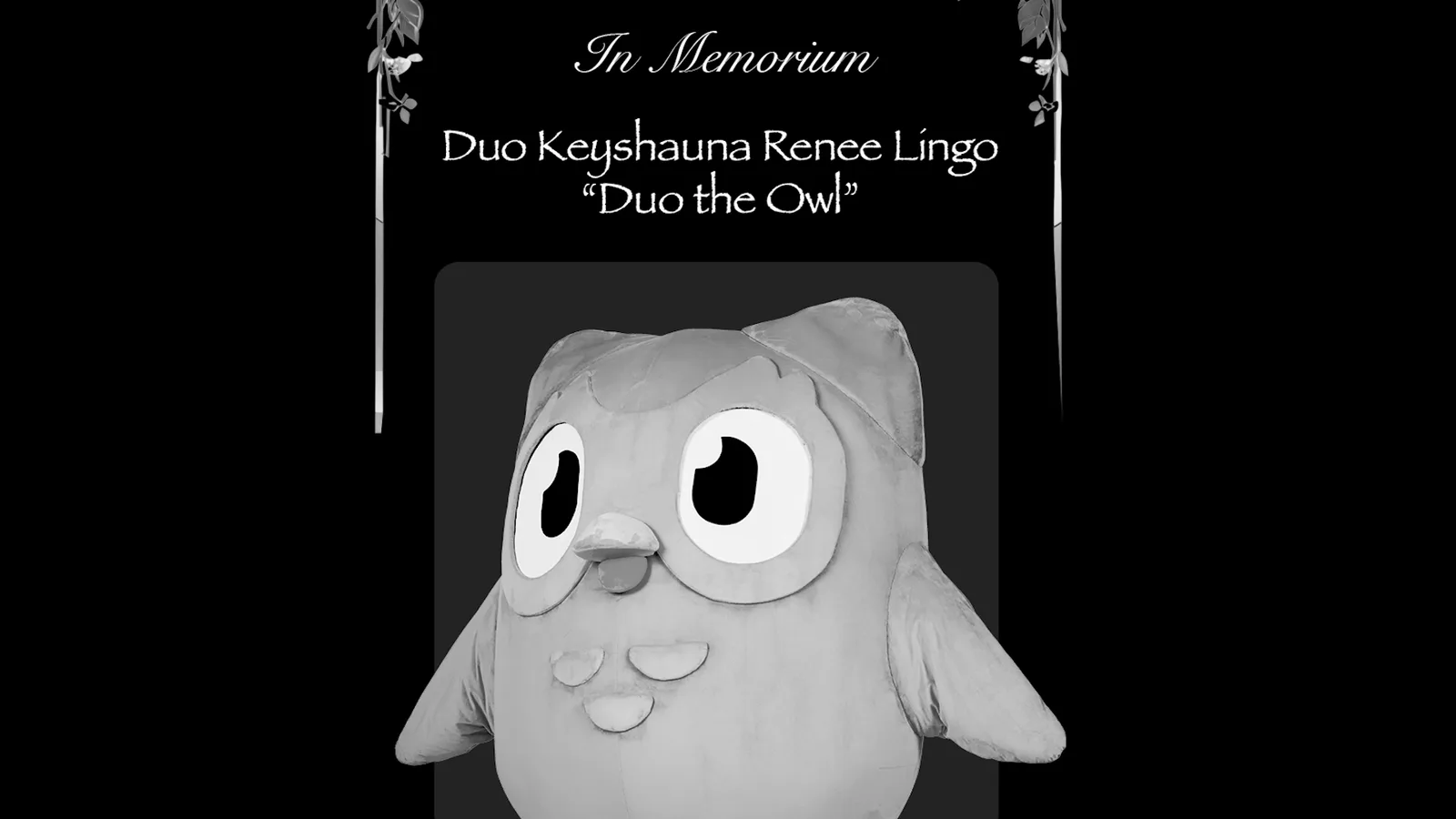 Duolingo Owl Dies | Know Your Meme