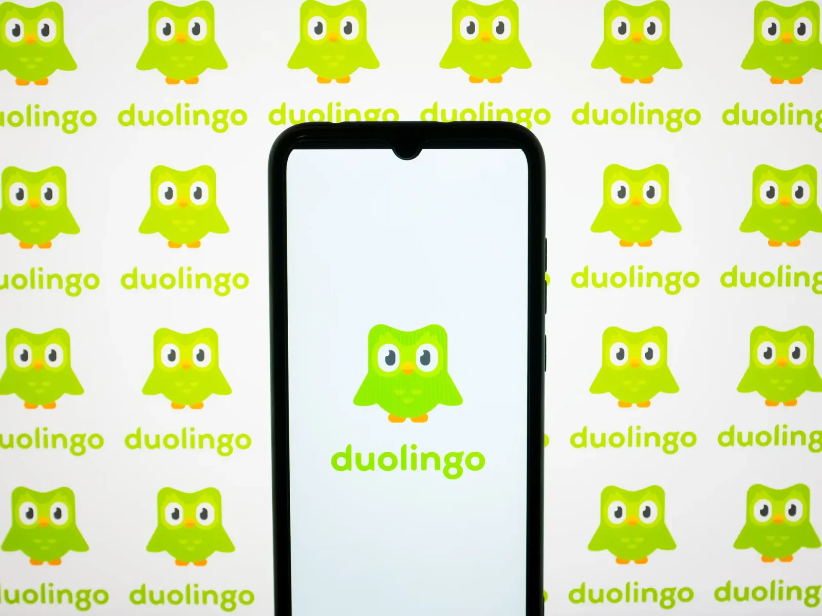 Duolingo announced the death of its owl mascot, Duo, this week. He was known for his snarky social media presence and sometimes-threatening way of reminding people to do their daily language lessons.