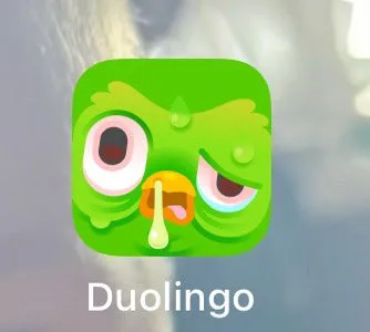 Duolingo owl needs to be checked out by the CDC