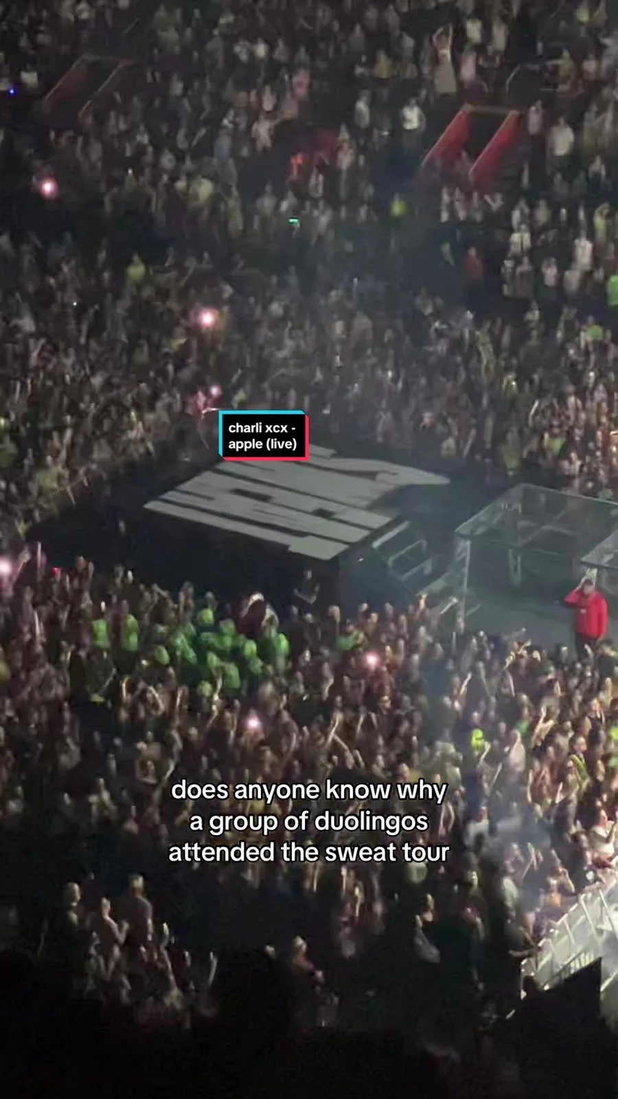 what an odd sight like ?? LMFAO @Duolingo #fyp #apple #charlixcx #concert #duolingo #sweattour #troyesivan #sweattourdetroit #detroit #music #funny #elenators #hirschykisses #elenahirsch