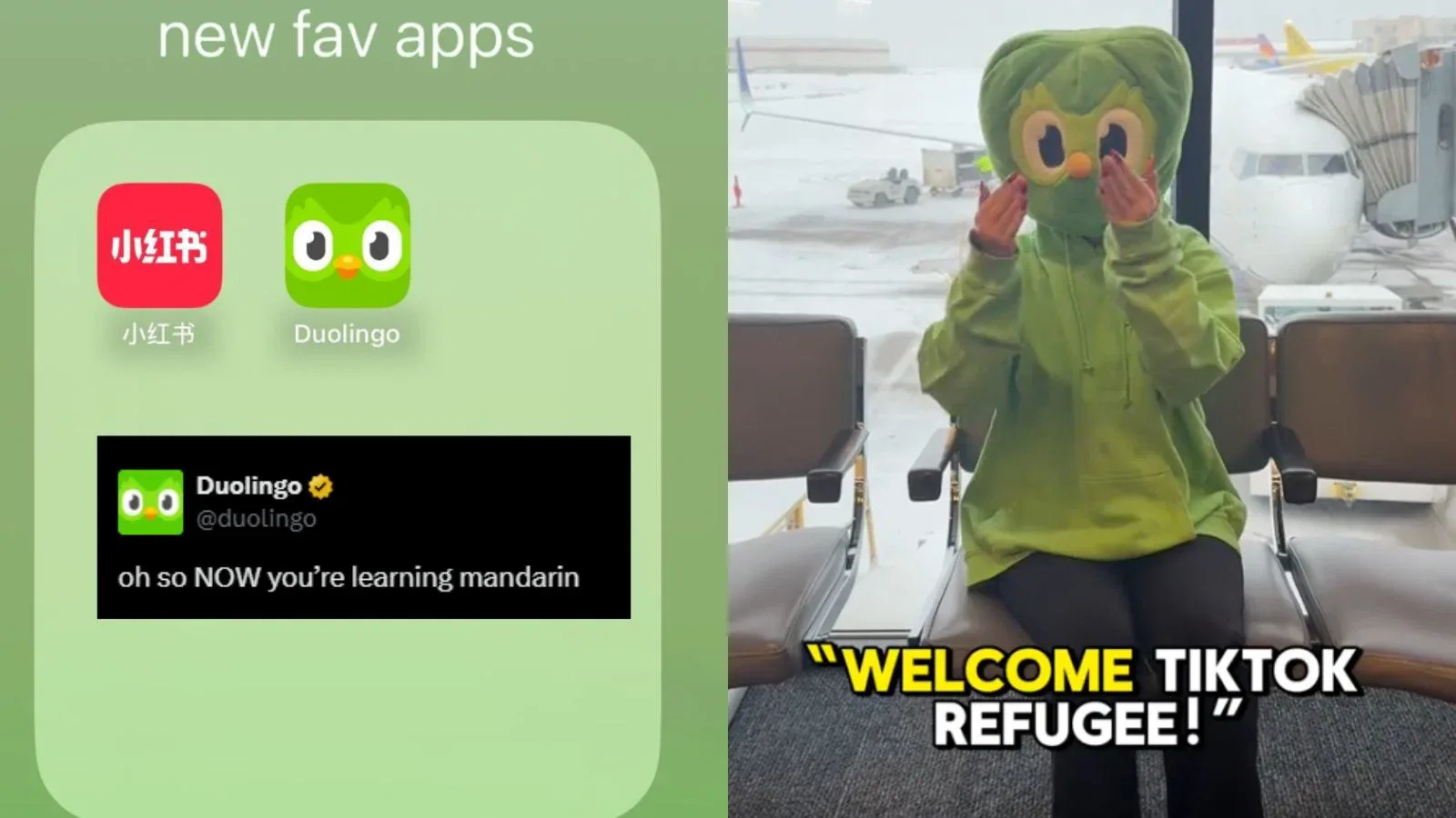 Duolingo jumps in on TikTok ban with witty social post