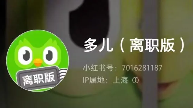 多邻国小绿鸟闹辞职,半个品牌圈赶来抢人