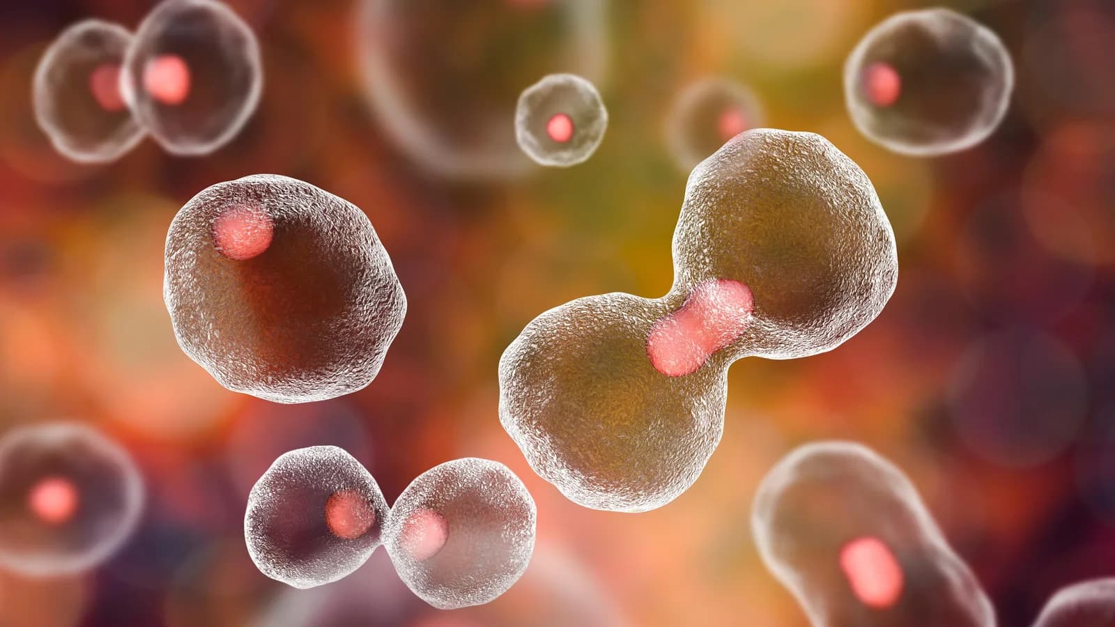 Dividing cells on colorful background, 3D illustration
