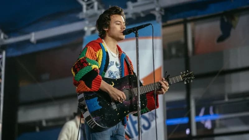 Museum acquires the Harry Styles cardigan that sparked a TikTok craze | CNN