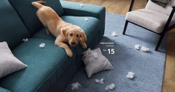 Ikea's Sweet Ads Capture Messy Realities of Pet Ownership