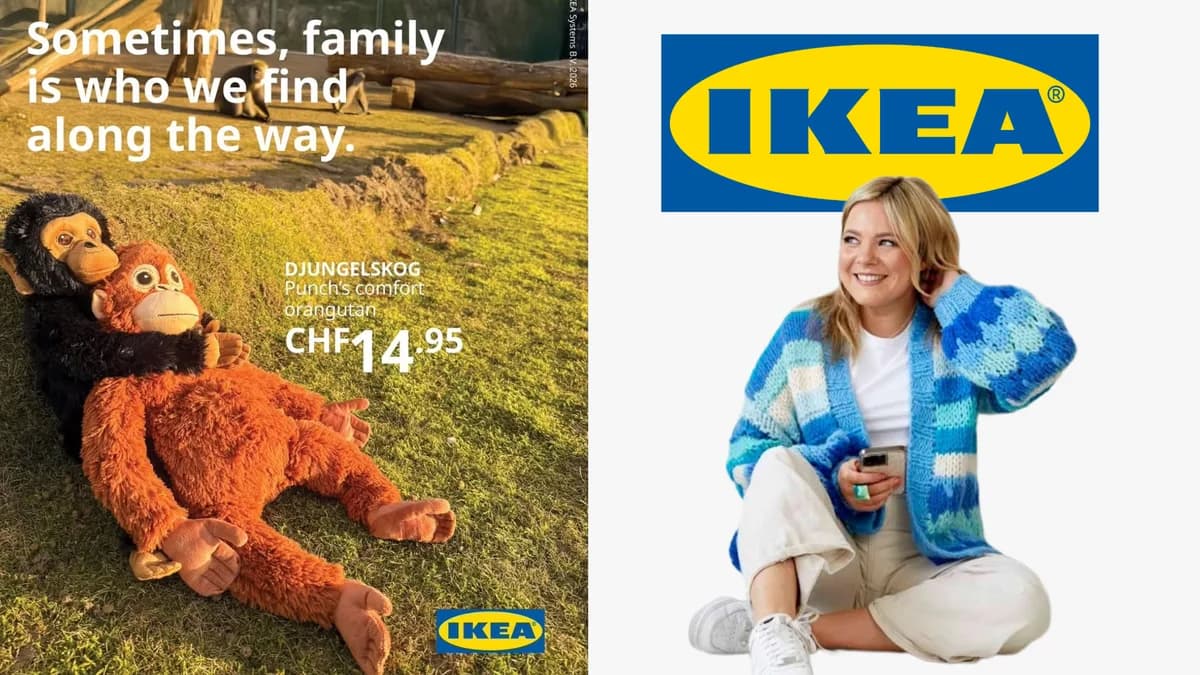 Elissa Wardrop on Her Viral IKEA Punch the Monkey Campaign