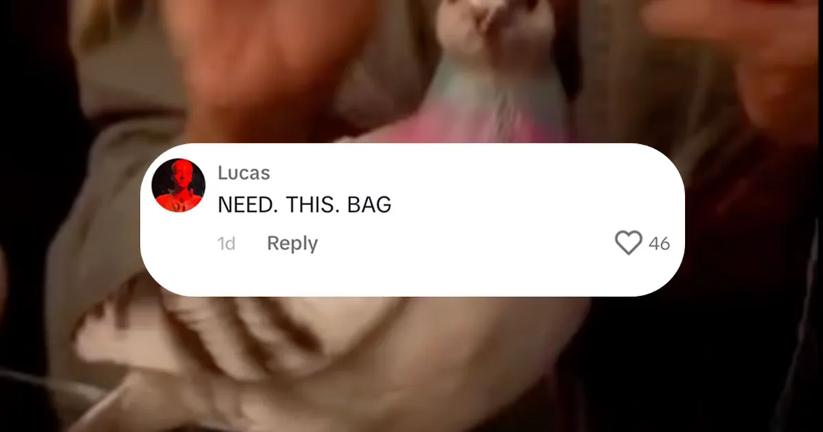 Culted Community talks: Do we hate or love Carrie Bradshaw's pigeon bag? | Culted Entertainment