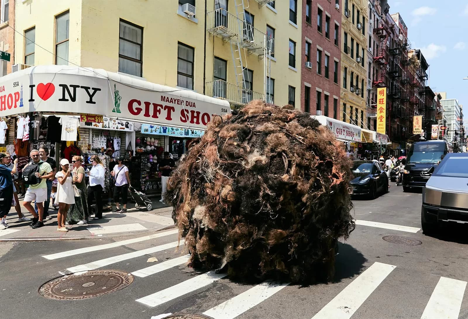 Tumblehair Takes Manhattan: K18 Goes Viral