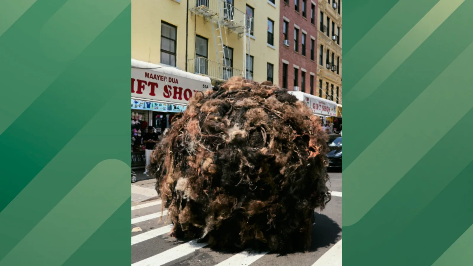 Tumblehair in NYC