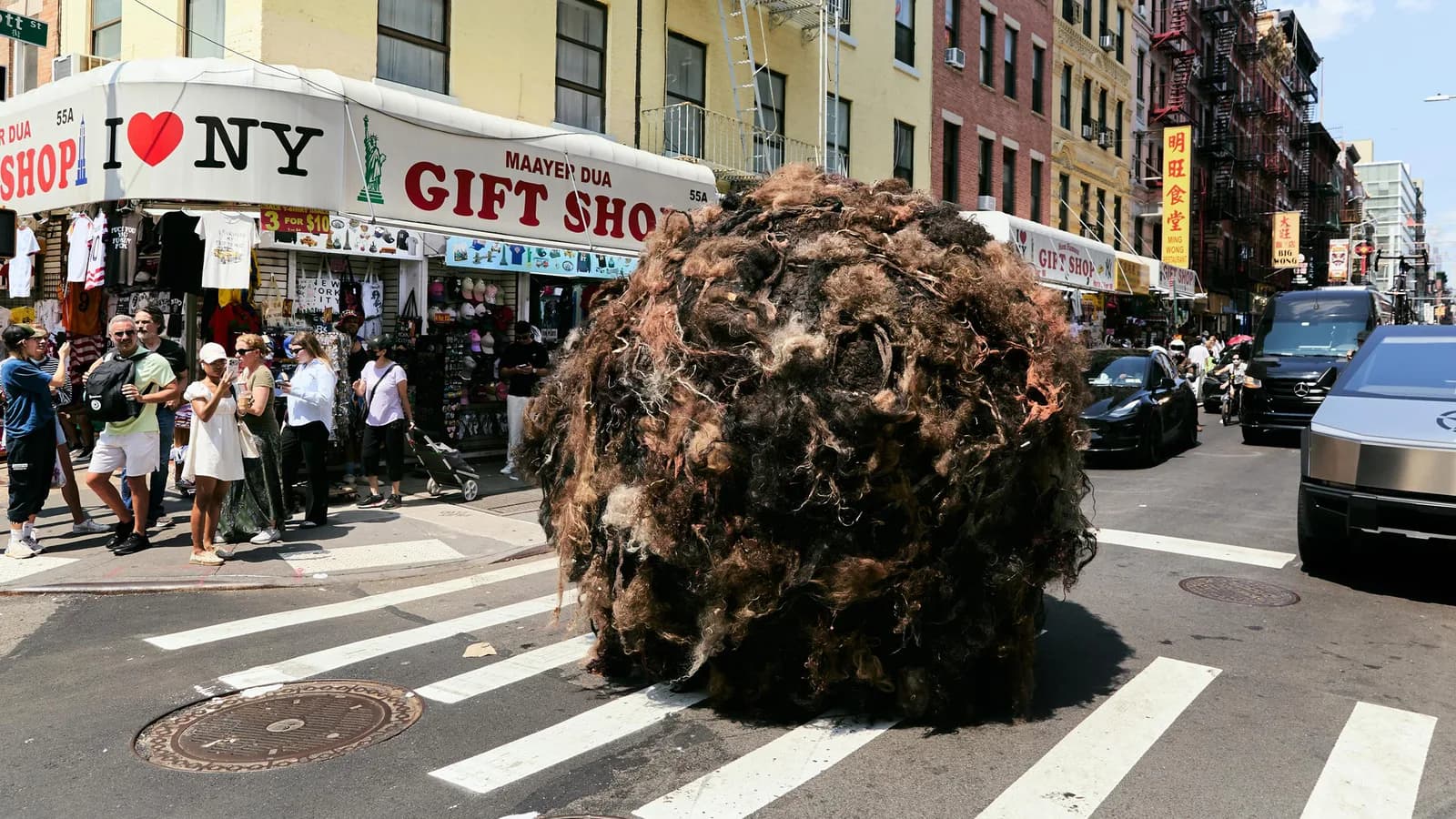 À New York, cette énorme boule de cheveux cache un coup de pub surprenant
