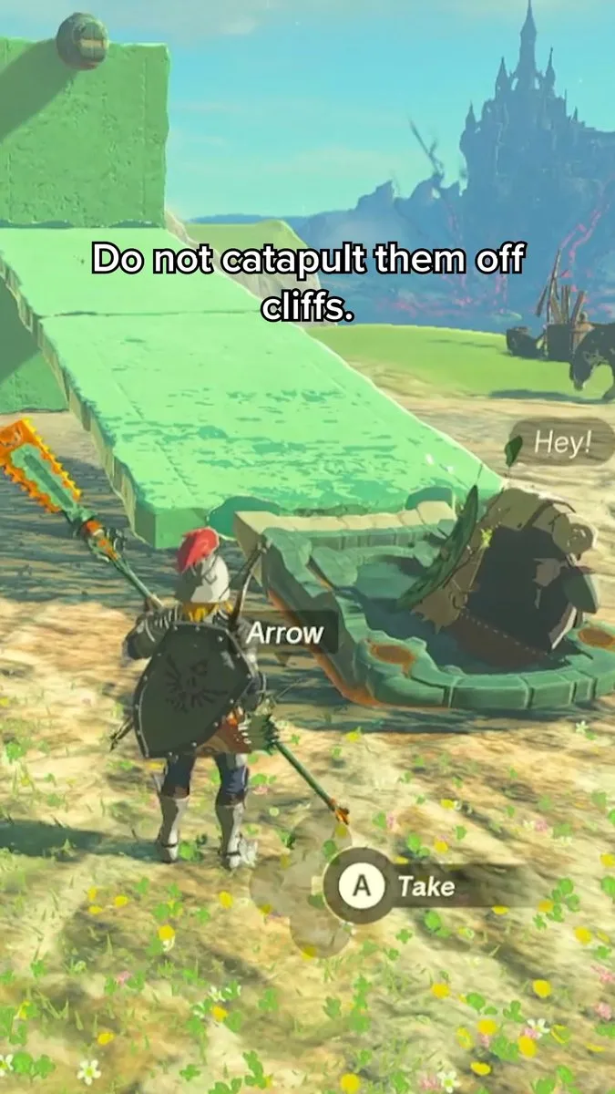 It's dangerous to transport Koroks alone, so watch this handy guide from Hylians for the Ethical Transportation of Koroks ☝️ #Zelda #tearsofthekingdom