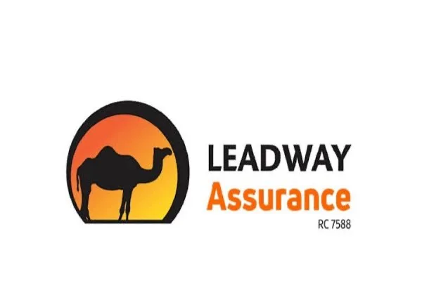 Leadway’s No Looseguard Campaign Clinches Pitchers Award with Bold, Relatable Storytelling – THISDAYLIVE