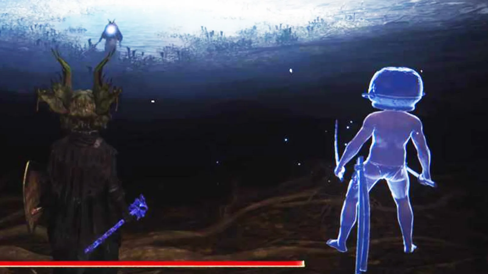 Elden Ring character with 'Let Me Solo Her' modded character standing next to them in Malenia boss arena.