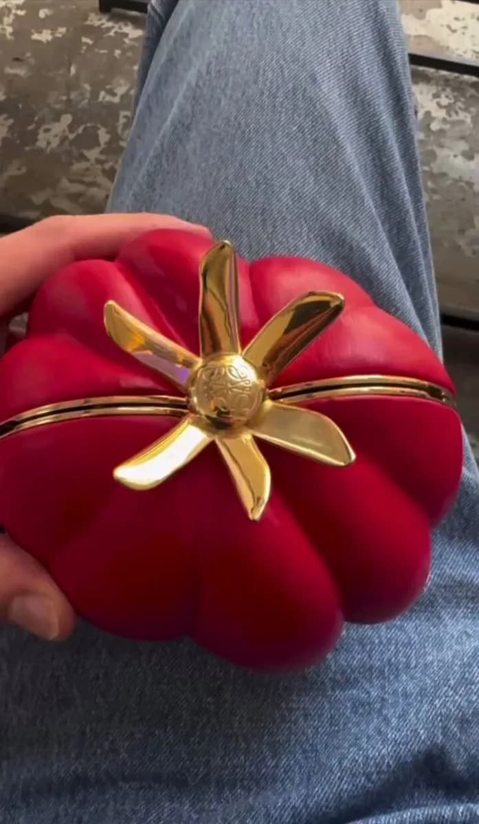 ✨Loewe✨ tomato is REAL. Jonathan Anderson revealed the 🍅 clutch, a few days after the meme went viral on Twitter. More than that, the designer showcased a cherry tomato accessory as well!