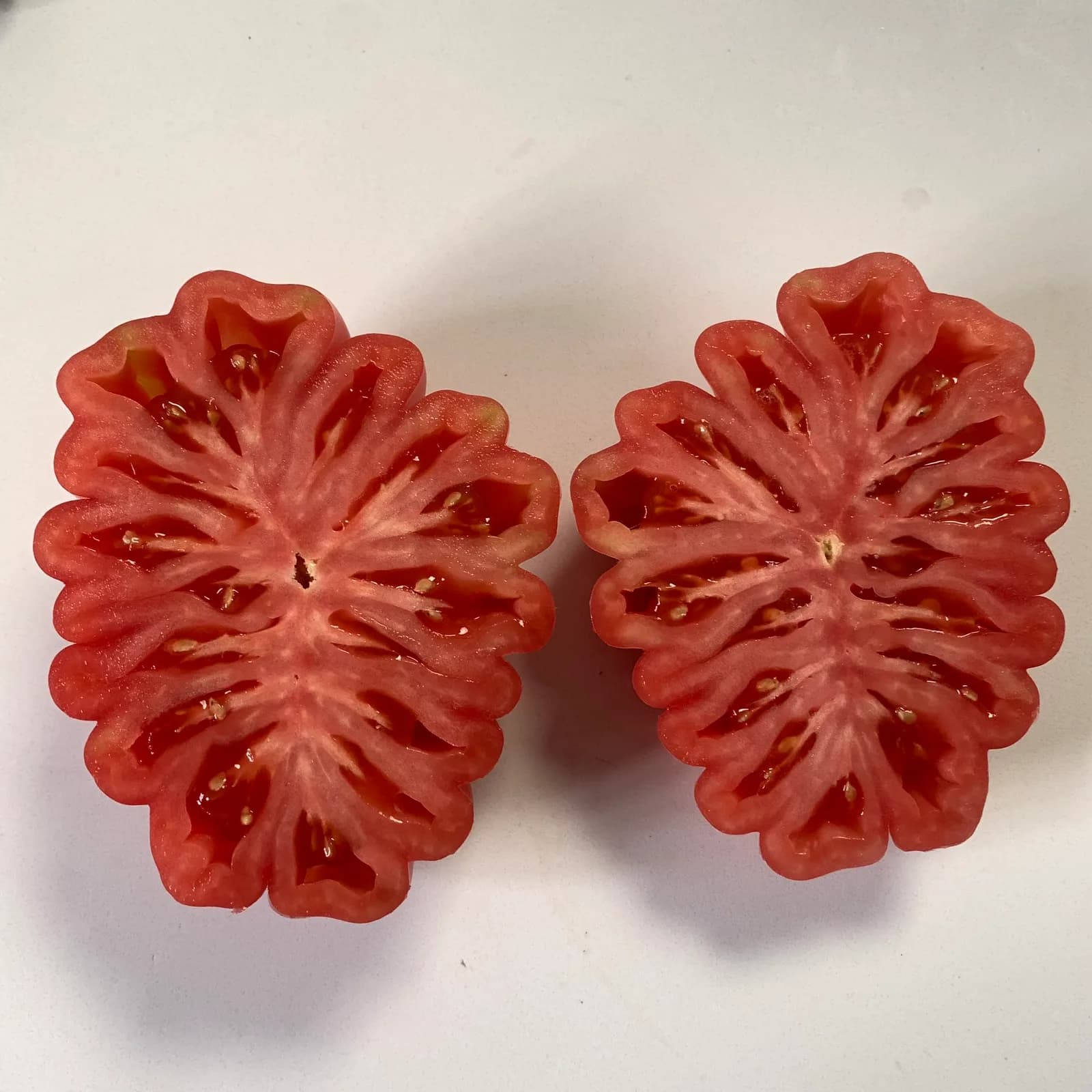 This tomato is so Loewe I can’t explain it