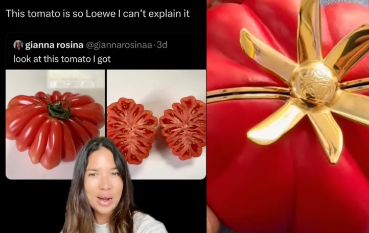 Why is Loewe Tomato Bag Going Viral? -