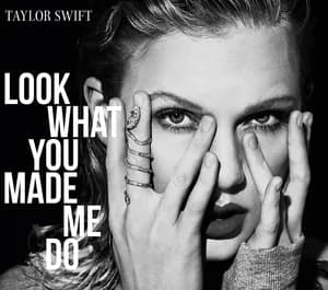Look What You Made Me Do: cover art