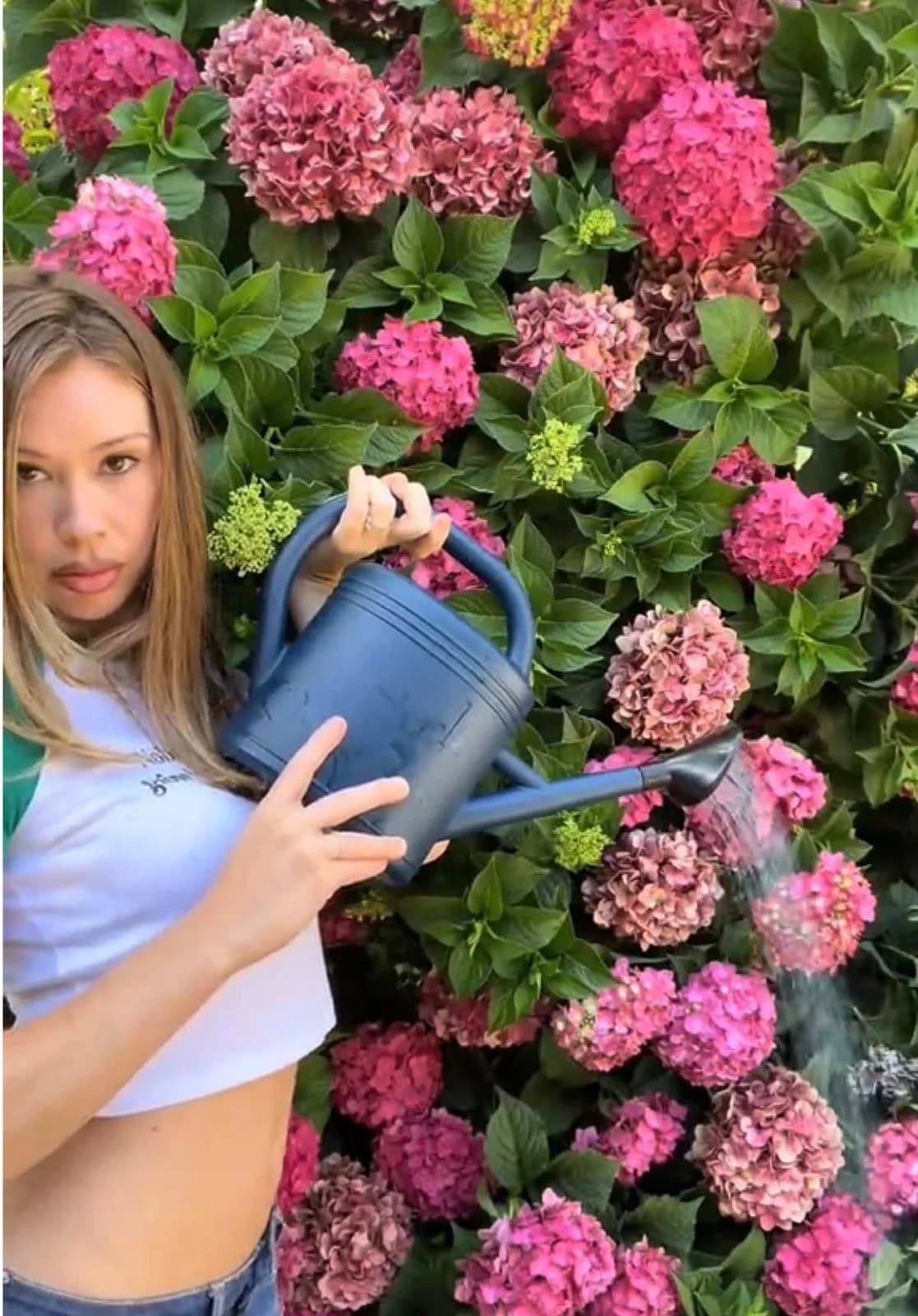 we're declaring it's officially #FullBushSummer with @Gabby 🌳🤭