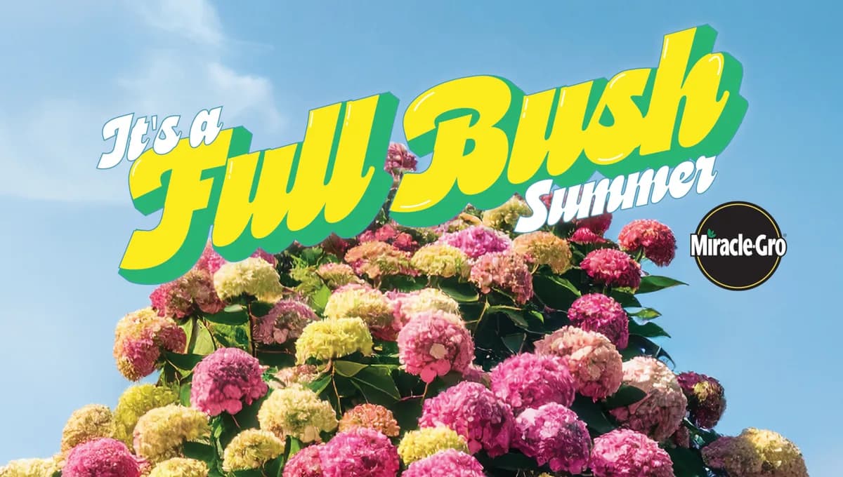 Miracle-Gro and Gabby Windey Back 'Full Bush Summer'