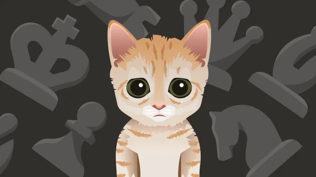 Mittens - The Chess-Playing Cat That Conquered the Internet!