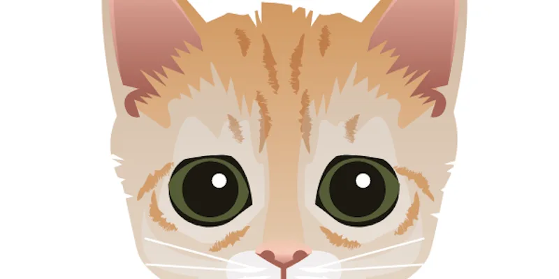 Il gattino contro cui tutti vogliono giocare a scacchi