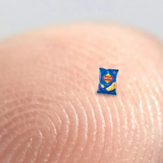 smithschips_aus on Instagram: "A microscopic Smith's Chip bag inspired by Pharrell's miniature bag. Now this is art!"