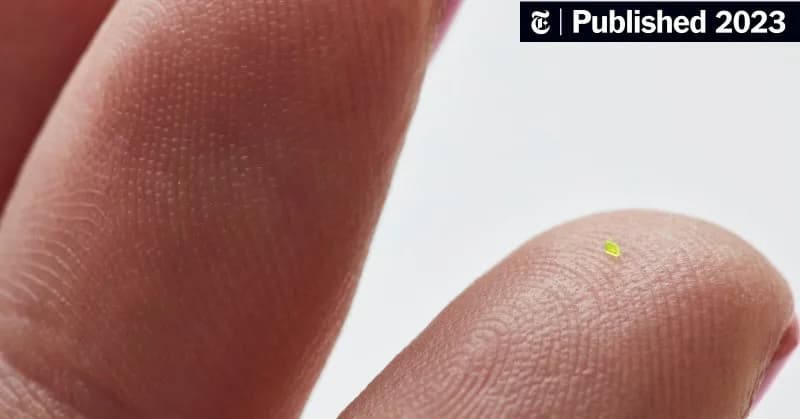 The Microscopic Vuitton Handbag by #MSCHF takes the tiny-purse trend to the extreme. To see it, you’ll need a microscope.