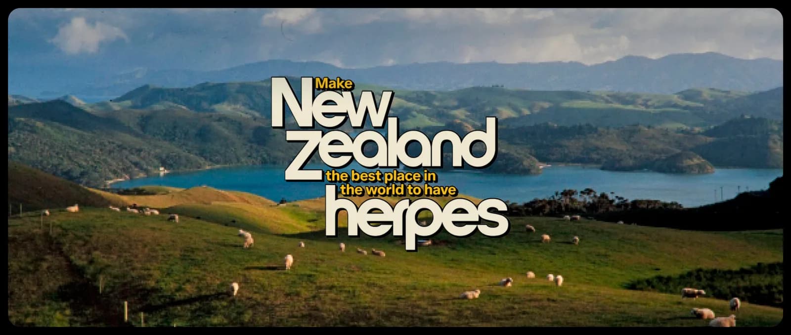 The campaign title over a New Zealand landscape and sheep.