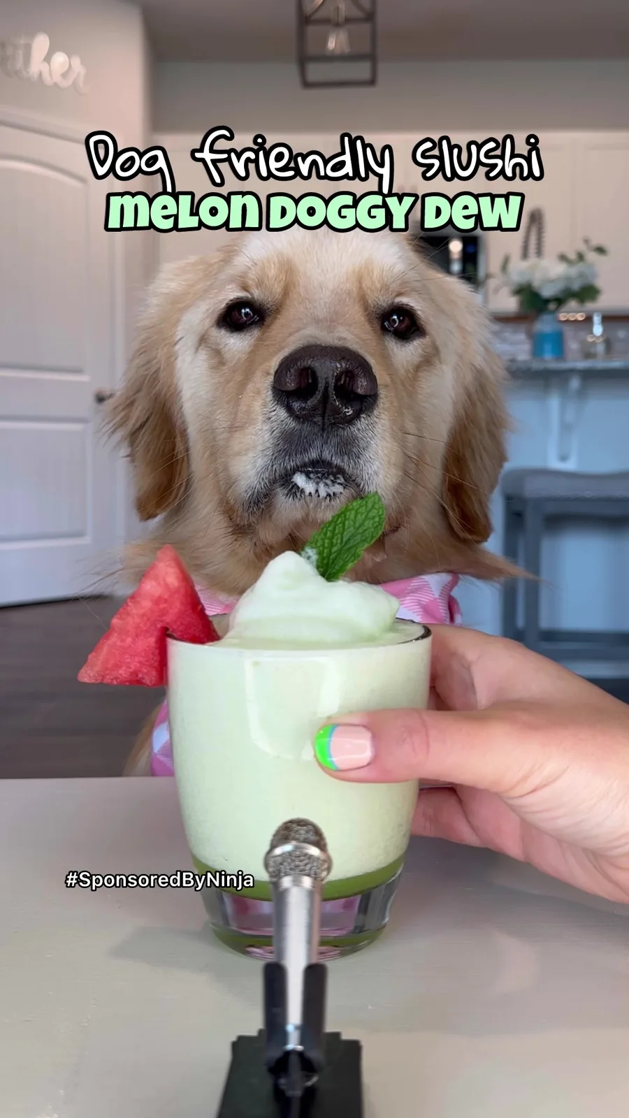 On today's episode of #asmr recipes: Melon Doggy Dew Ninja SLUSHi. #SponsoredByNinja Pearl makes her first ever SLUSHi with just 3 ingredients, no ice needed! Do you think Pearl enjoyed her…
