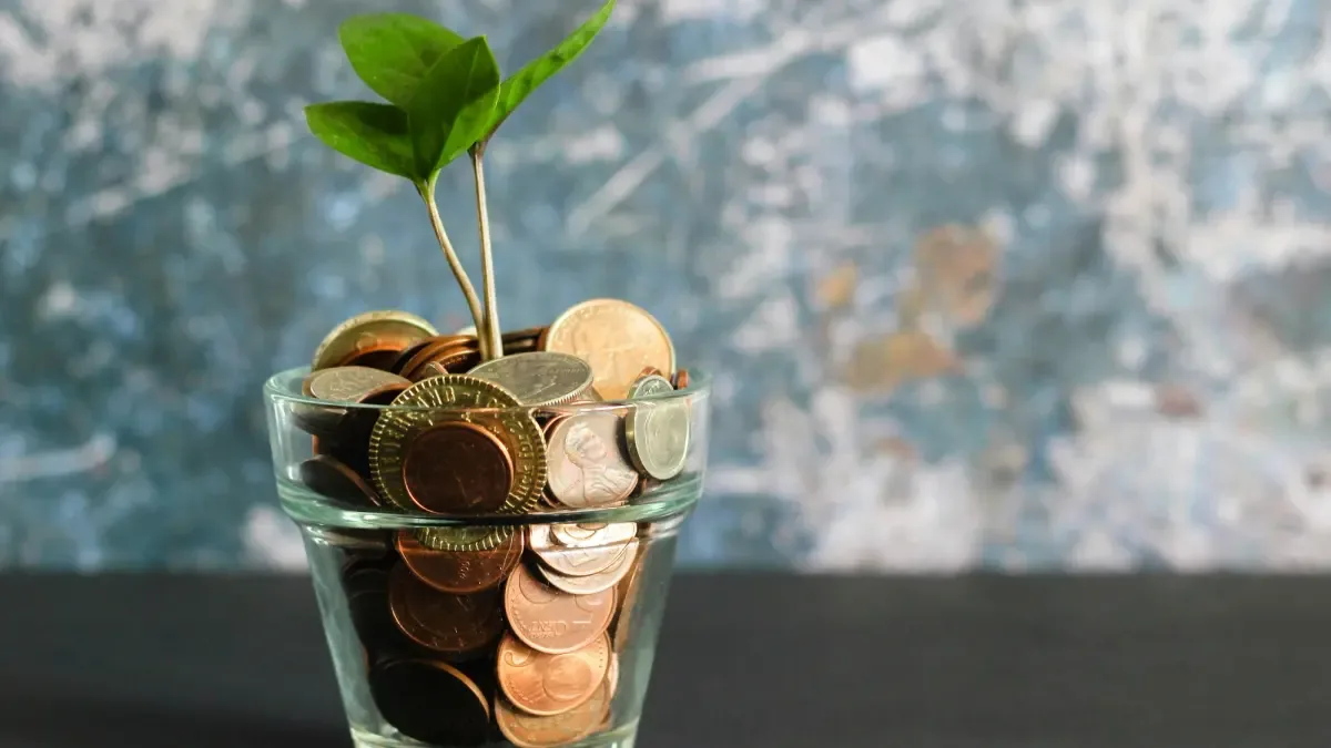 Coins (Micheile Henderson/Unsplash)