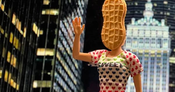Nutter Butter Won Over Gen Z With Absurdist Social Strategy